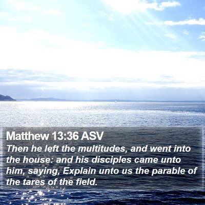 Matthew 13:36 ASV Bible Verse Image