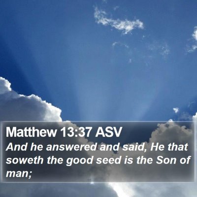Matthew 13:37 ASV Bible Verse Image