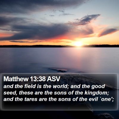 Matthew 13:38 ASV Bible Verse Image