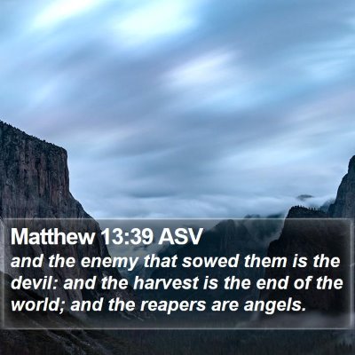 Matthew 13:39 ASV Bible Verse Image