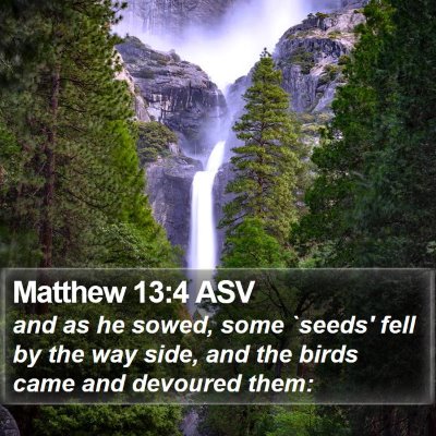 Matthew 13:4 ASV Bible Verse Image