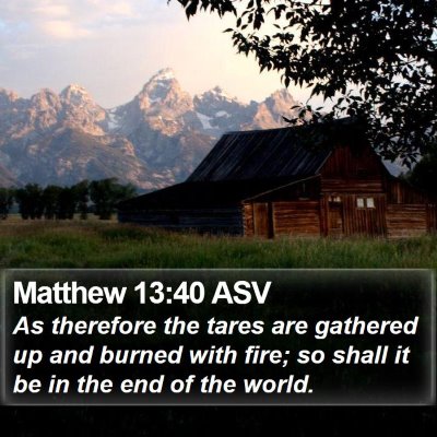 Matthew 13:40 ASV Bible Verse Image