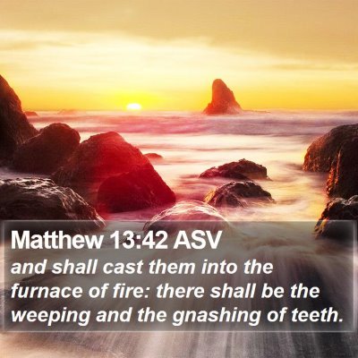 Matthew 13:42 ASV Bible Verse Image