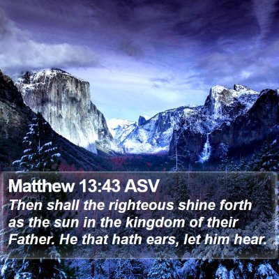 Matthew 13:43 ASV Bible Verse Image