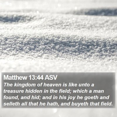 Matthew 13:44 ASV Bible Verse Image