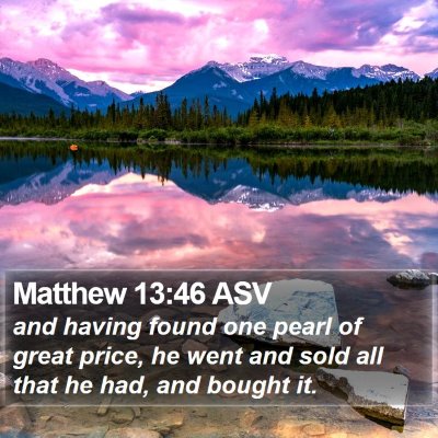 Matthew 13:46 ASV Bible Verse Image
