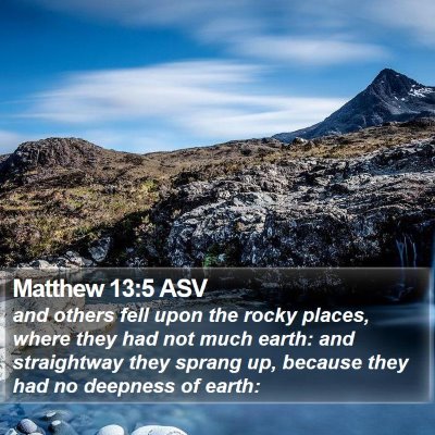Matthew 13:5 ASV Bible Verse Image