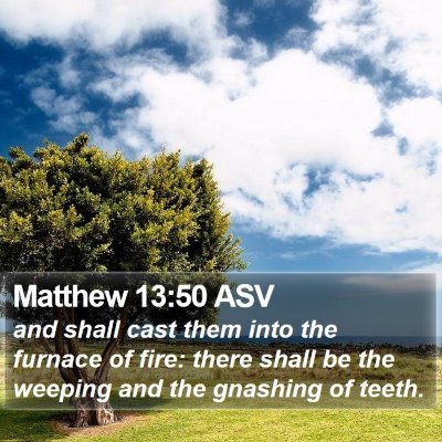 Matthew 13:50 ASV Bible Verse Image