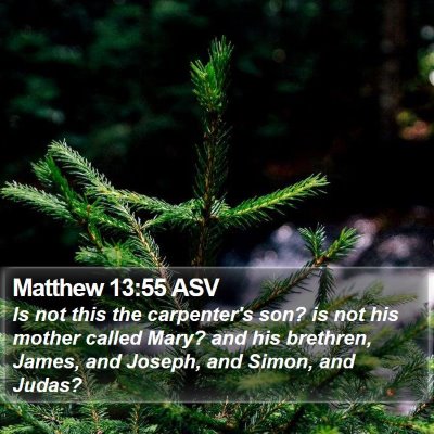 Matthew 13:55 ASV Bible Verse Image