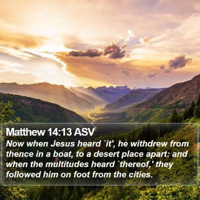 Matthew 14:13 ASV Bible Verse Image