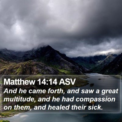 Matthew 14:14 ASV Bible Verse Image