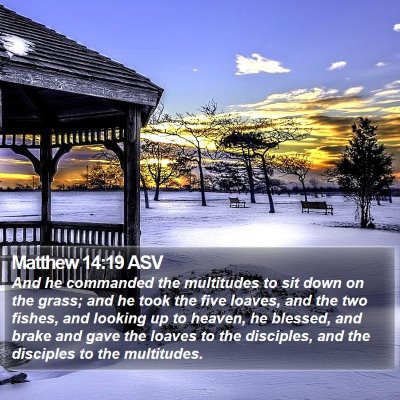 Matthew 14:19 ASV Bible Verse Image