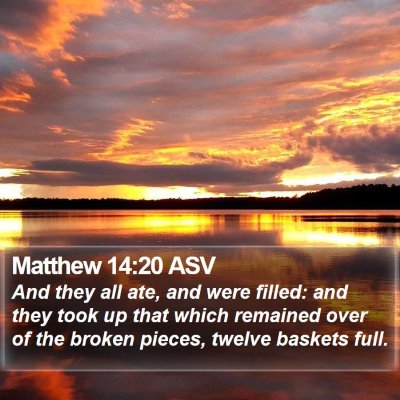 Matthew 14:20 ASV Bible Verse Image