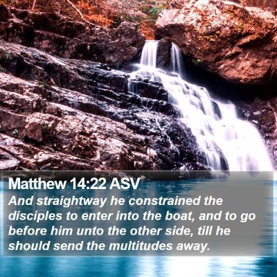 Matthew 14:22 ASV Bible Verse Image