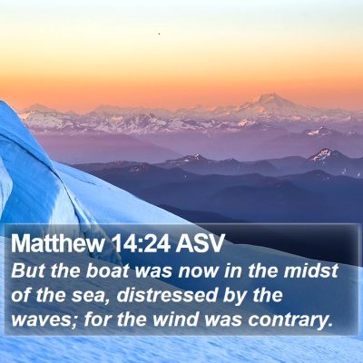 Matthew 14:24 ASV Bible Verse Image