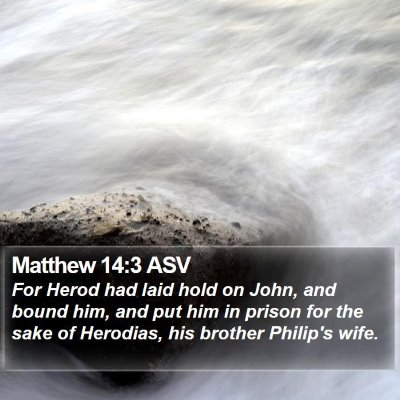 Matthew 14:3 ASV Bible Verse Image