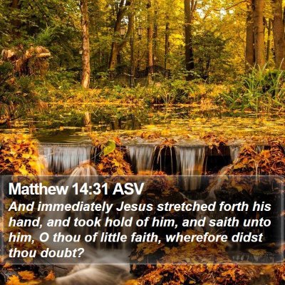 Matthew 14:31 ASV Bible Verse Image
