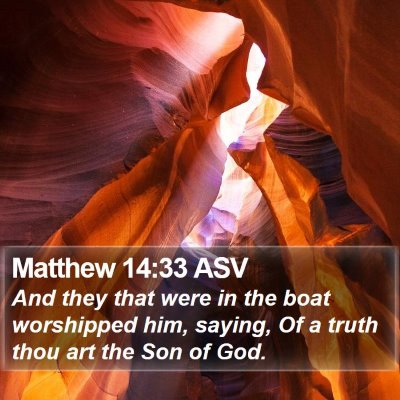 Matthew 14:33 ASV Bible Verse Image