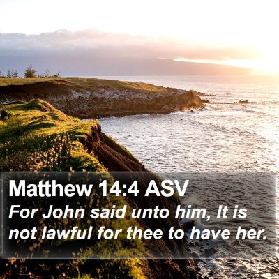 Matthew 14:4 ASV Bible Verse Image