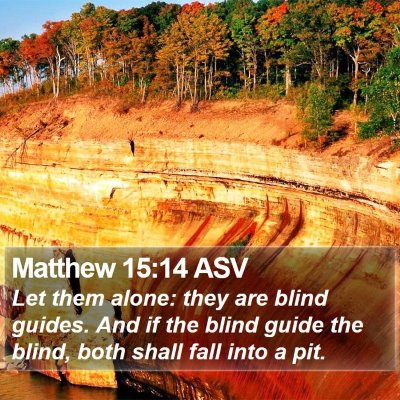 Matthew 15:14 ASV Bible Verse Image