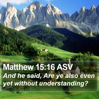 Matthew 15:16 ASV Bible Verse Image