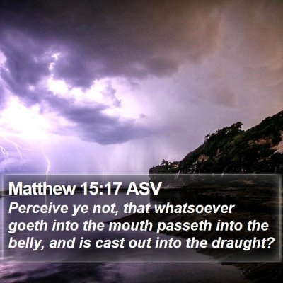 Matthew 15:17 ASV Bible Verse Image