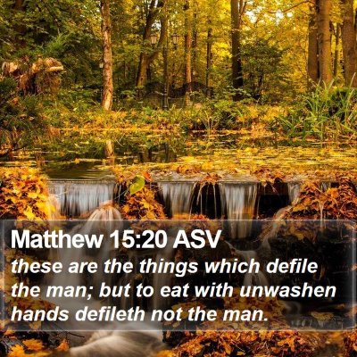 Matthew 15:20 ASV Bible Verse Image
