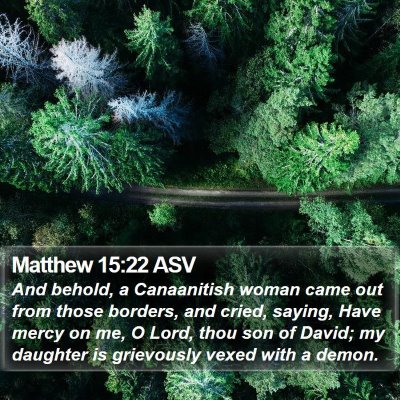 Matthew 15:22 ASV Bible Verse Image