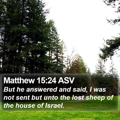 Matthew 15:24 ASV Bible Verse Image