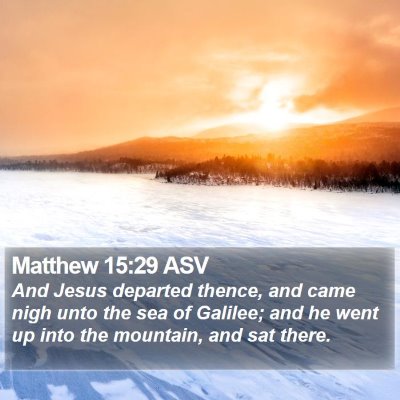 Matthew 15:29 ASV Bible Verse Image