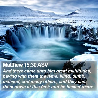 Matthew 15:30 ASV Bible Verse Image