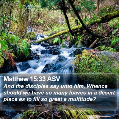 Matthew 15:33 ASV Bible Verse Image