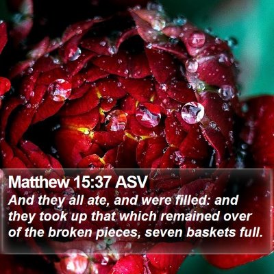 Matthew 15:37 ASV Bible Verse Image