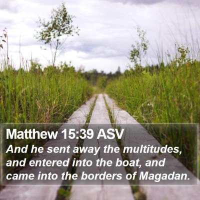 Matthew 15:39 ASV Bible Verse Image