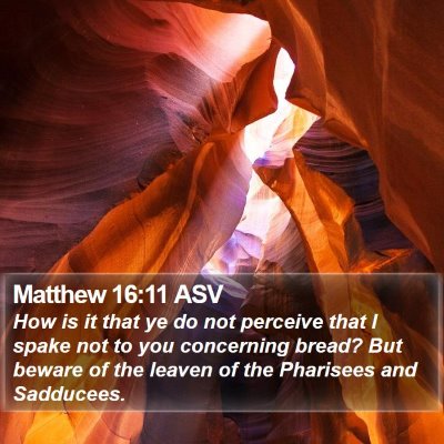 Matthew 16:11 ASV Bible Verse Image