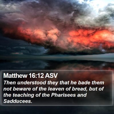 Matthew 16:12 ASV Bible Verse Image