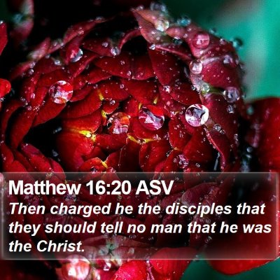 Matthew 16:20 ASV Bible Verse Image