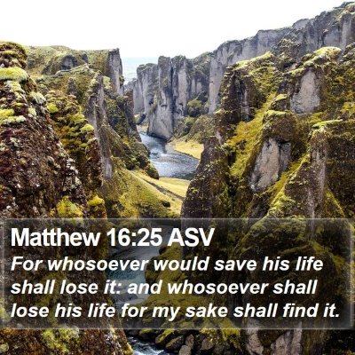 Matthew 16:25 ASV Bible Verse Image