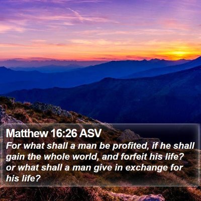 Matthew 16:26 ASV Bible Verse Image