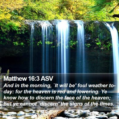 Matthew 16:3 ASV Bible Verse Image