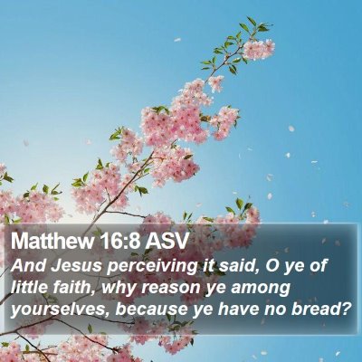Matthew 16:8 ASV Bible Verse Image