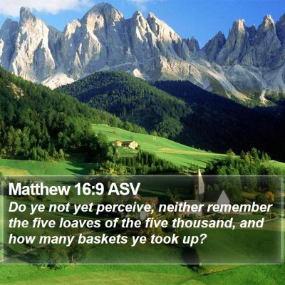 Matthew 16:9 ASV Bible Verse Image