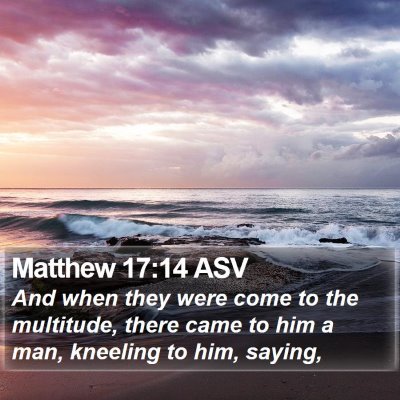 Matthew 17:14 ASV Bible Verse Image