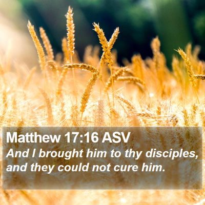 Matthew 17:16 ASV Bible Verse Image