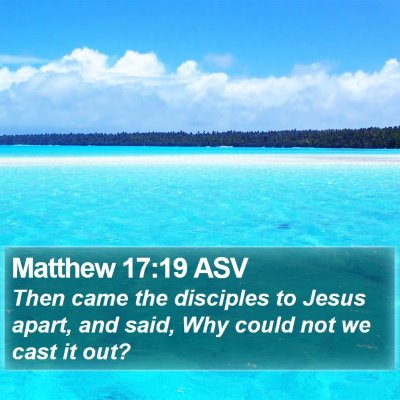 Matthew 17:19 ASV Bible Verse Image