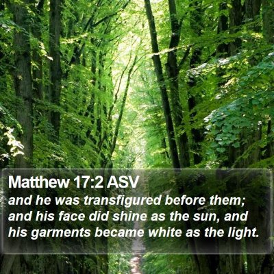 Matthew 17:2 ASV Bible Verse Image