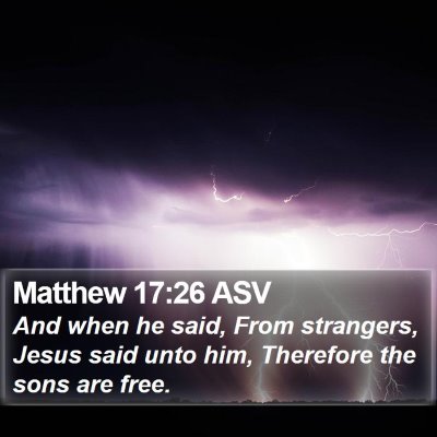 Matthew 17:26 ASV Bible Verse Image