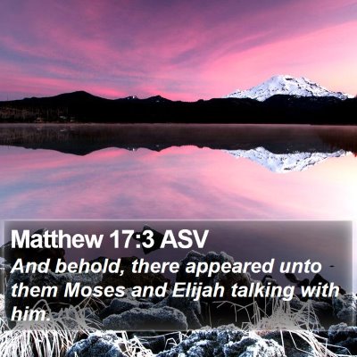 Matthew 17:3 ASV Bible Verse Image