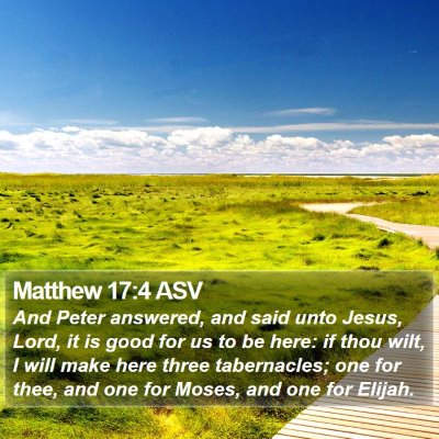 Matthew 17:4 ASV Bible Verse Image