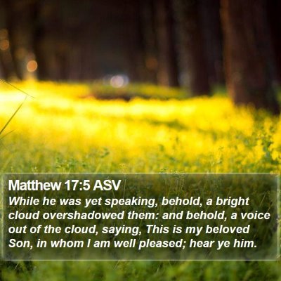Matthew 17:5 ASV Bible Verse Image